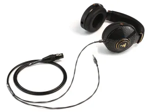 Black Dragon Premium Cable for Focal Radiance Headphones