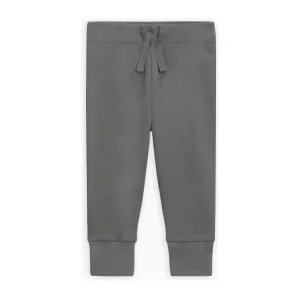 Colored Organics Cruz Joggers - Pewter